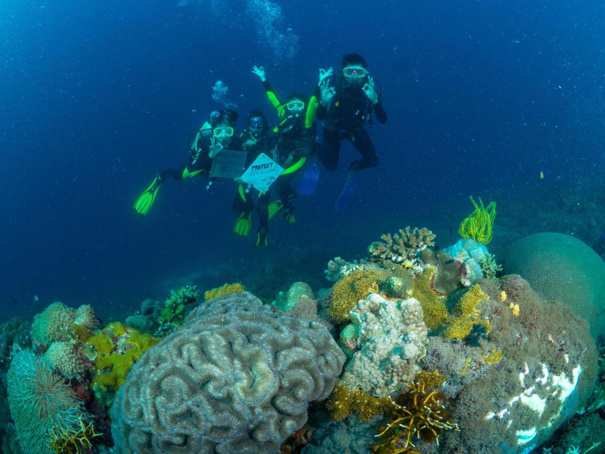 Liberty'S Lodge And Diving - Apo Island Dumaguete City Exterior photo