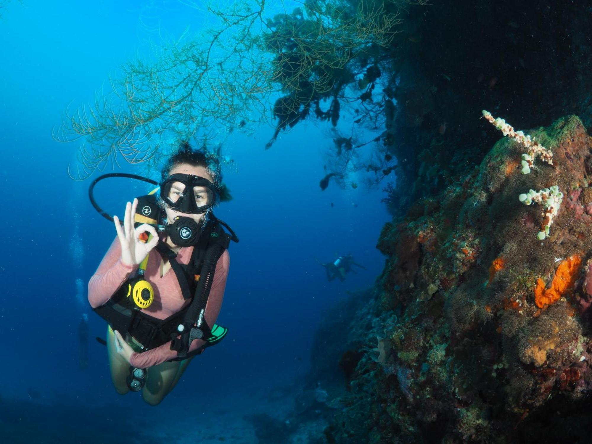 Liberty'S Lodge And Diving - Apo Island Dumaguete City Exterior photo