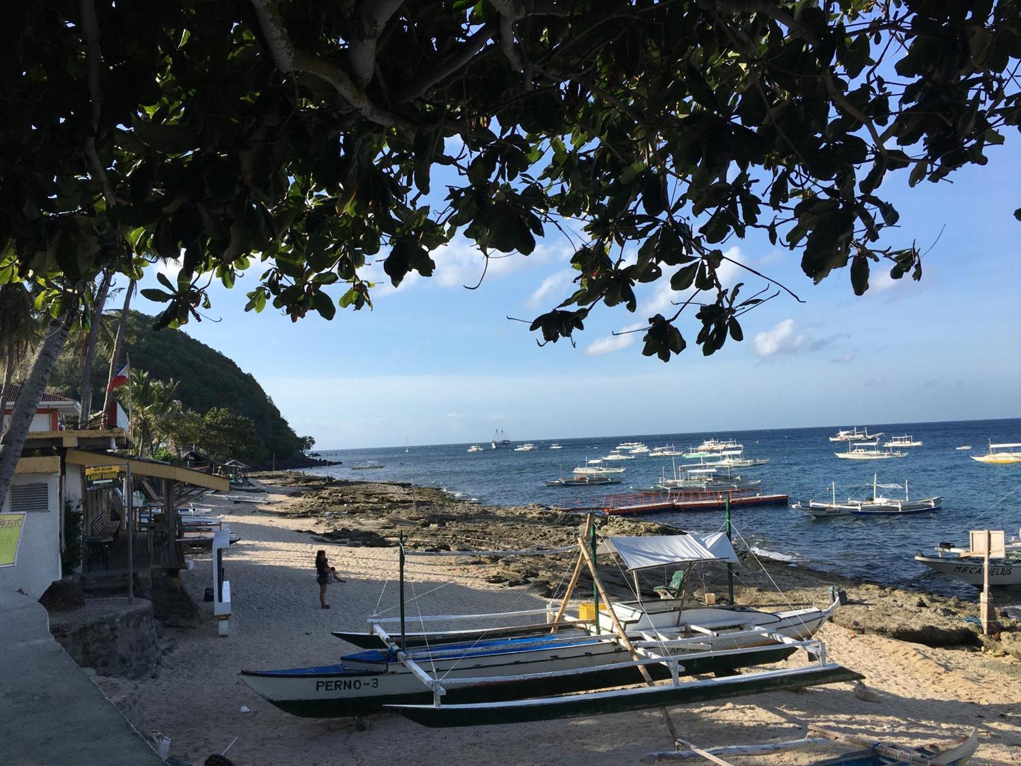 Liberty'S Lodge And Diving - Apo Island Dumaguete City Exterior photo
