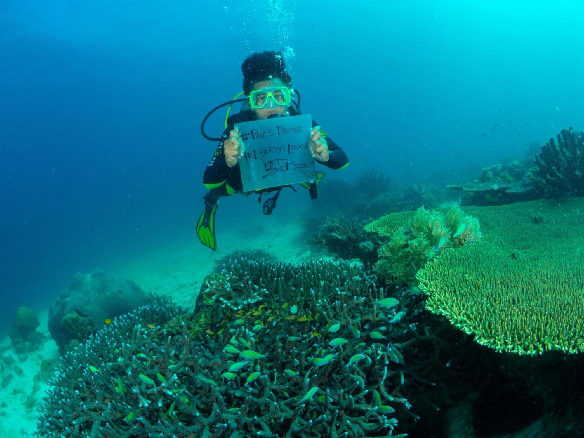 Liberty'S Lodge And Diving - Apo Island Dumaguete City Exterior photo
