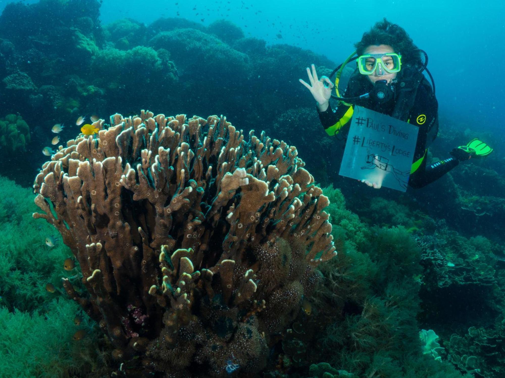 Liberty'S Lodge And Diving - Apo Island Dumaguete City Exterior photo