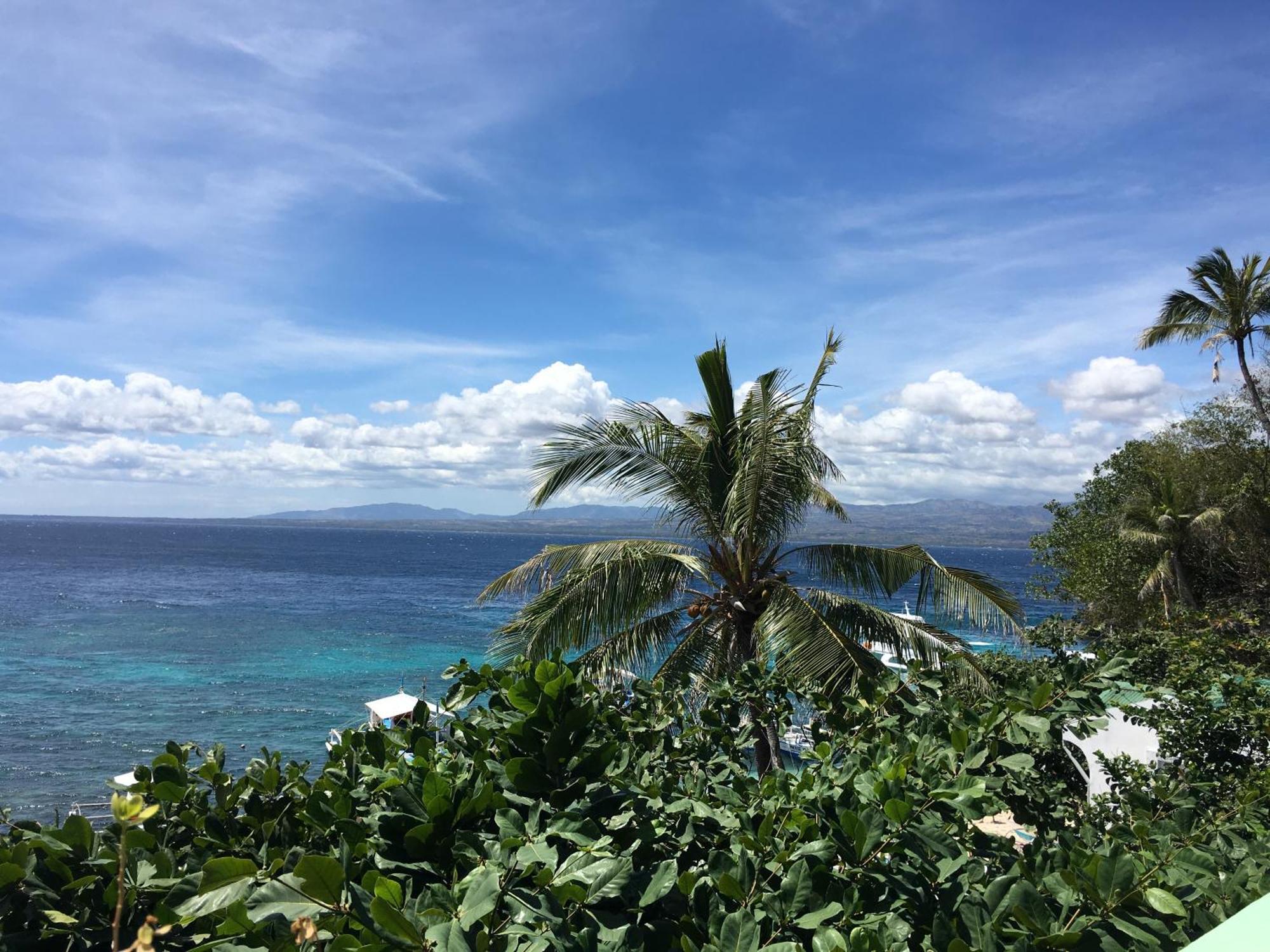 Liberty'S Lodge And Diving - Apo Island Dumaguete City Exterior photo